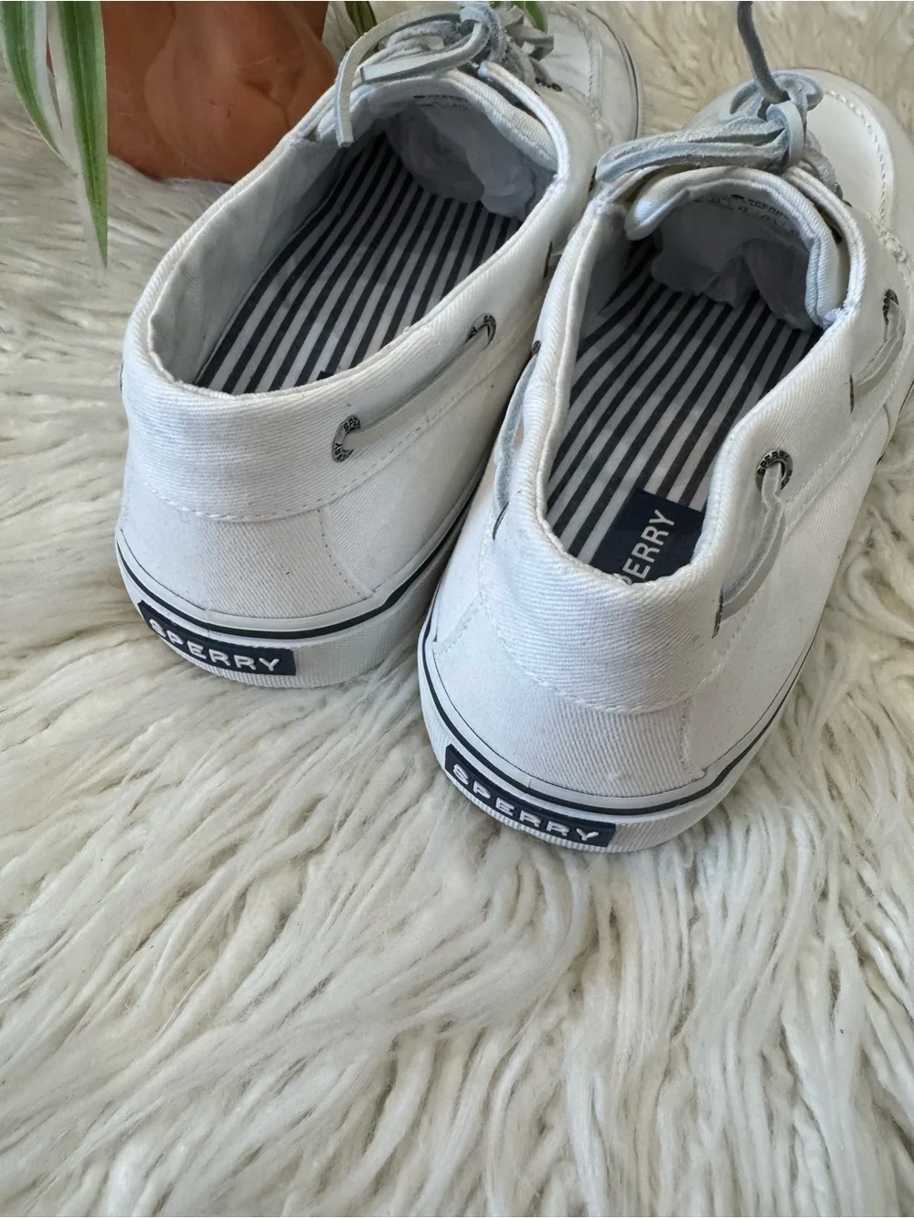 Sperry classic canvas